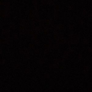 Meet your Posher, Gary